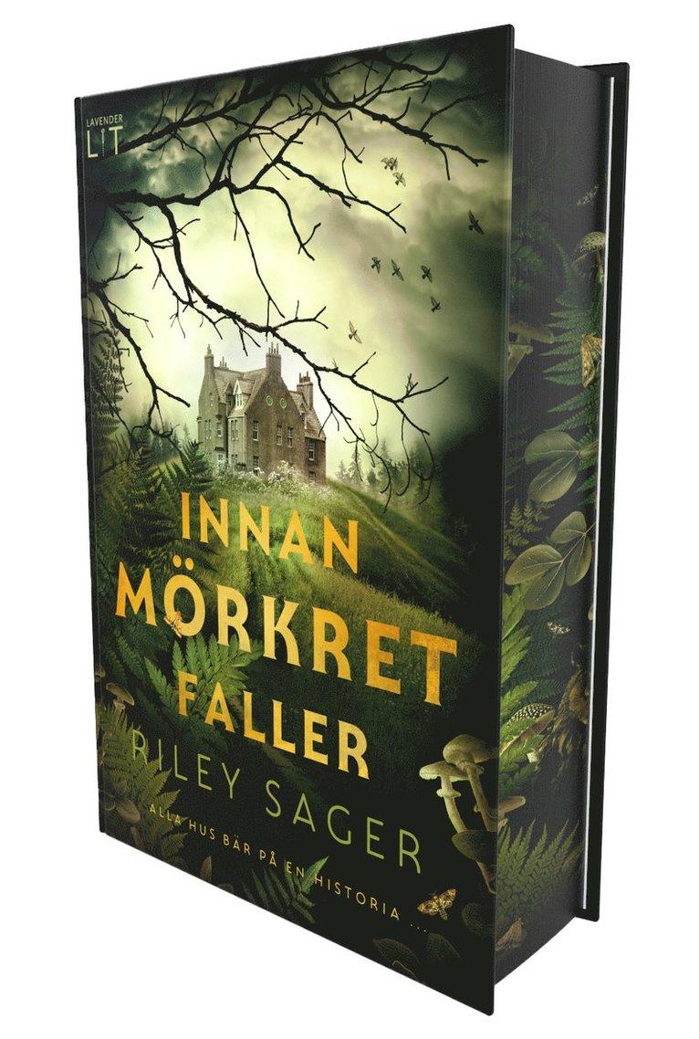 Innan mörkret faller