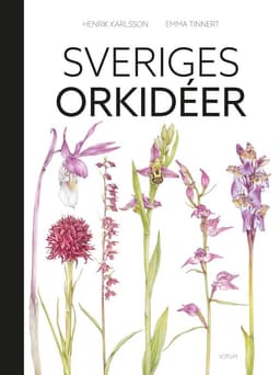 Sveriges orkidéer