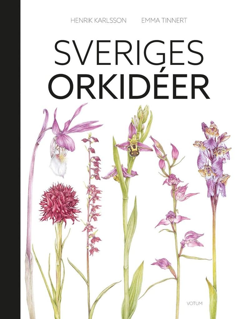 Sveriges orkidéer