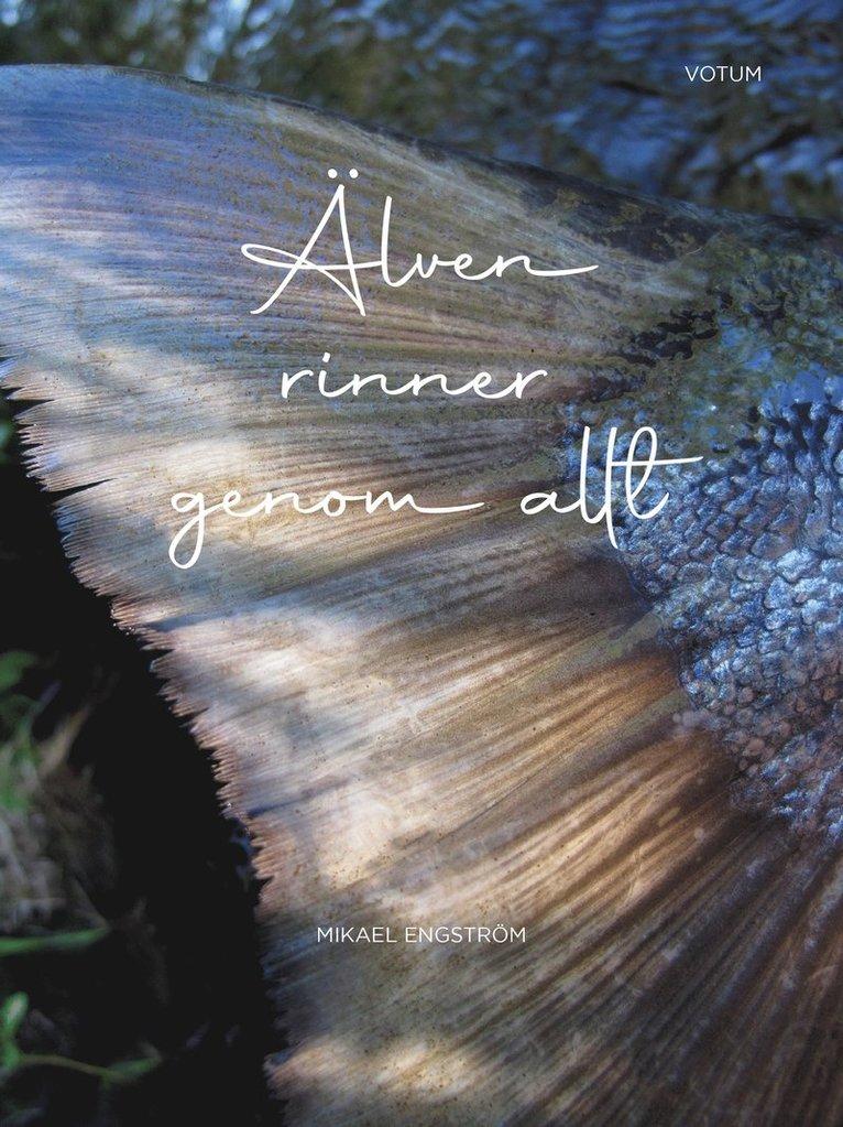 Älven rinner genom allt