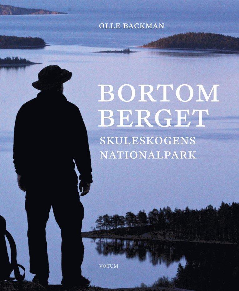 Bortom berget : Skuleskogens nationalpark