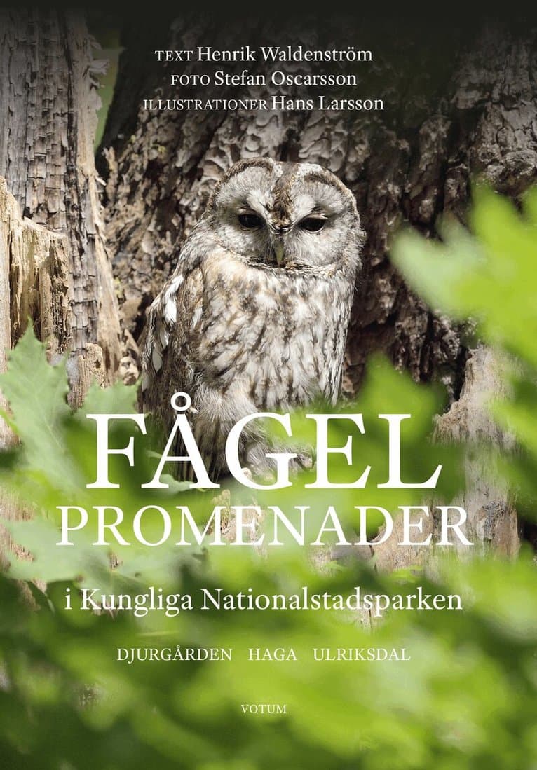 Fågelpromenader i Kungliga Nationalstadsparken