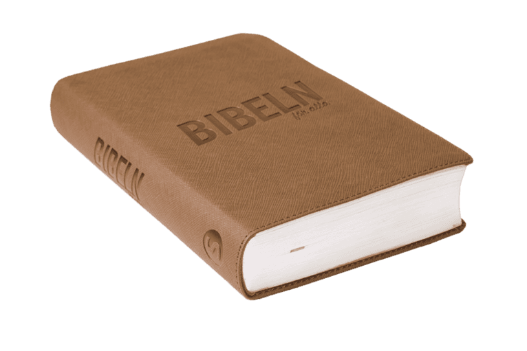 Bibeln för alla : Ljusbrun