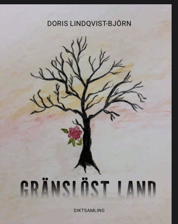 Gränslöst land