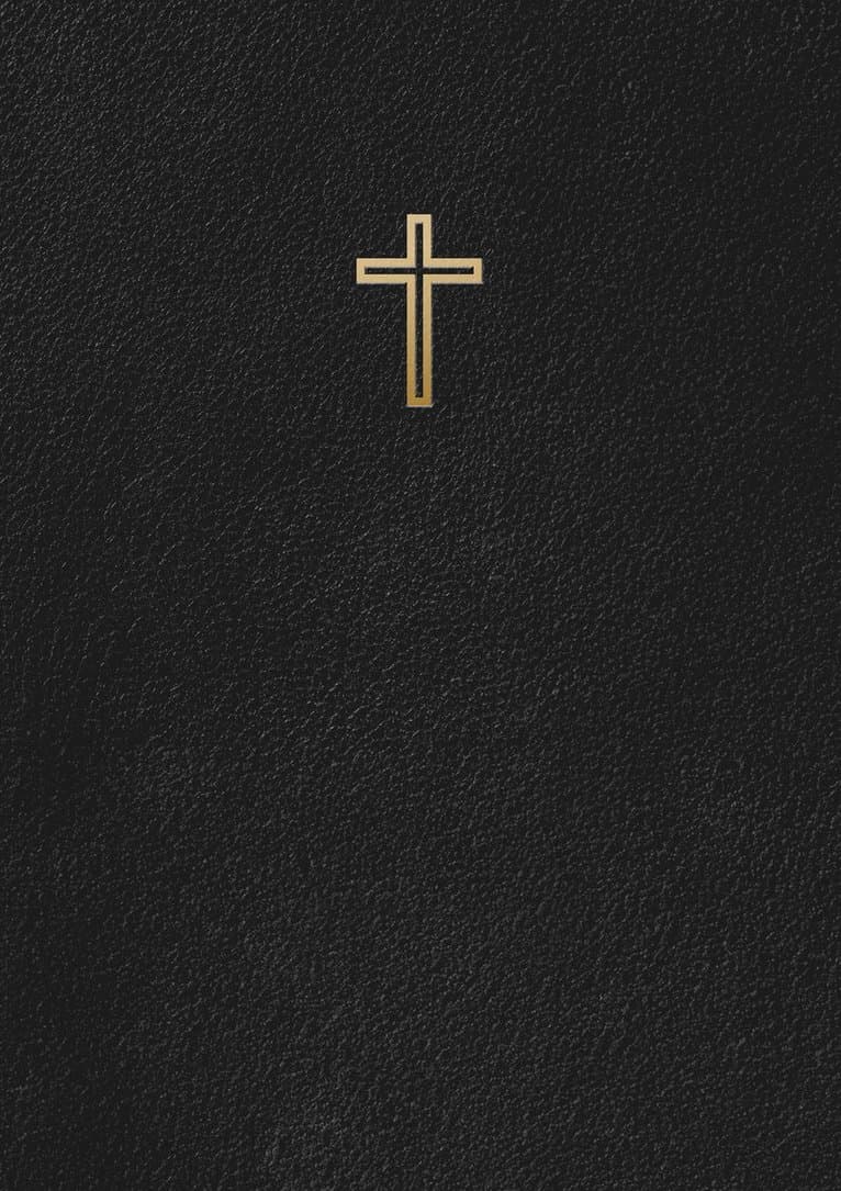 Svenska Folkbibeln 2015 : Slimline Svart Konstskinn