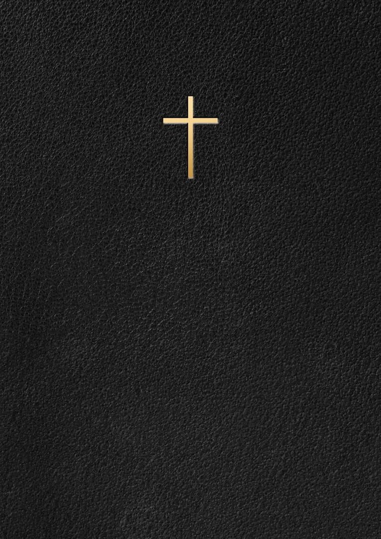 Bibel 2000 : Svart Konstskinn