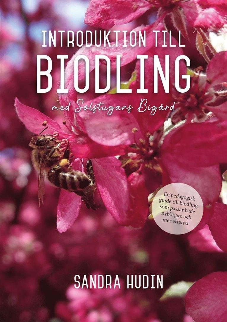 Introduktion till biodling - med Solstugans bigård