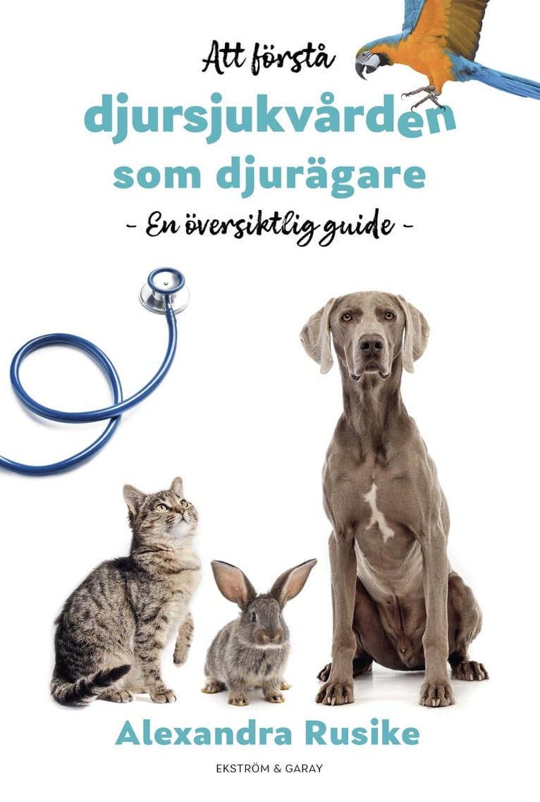 Att förstå djursjukvården som djurägare : en översiktlig guide