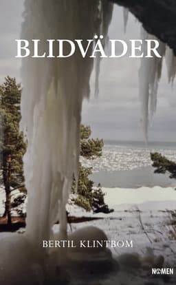 Blidväder