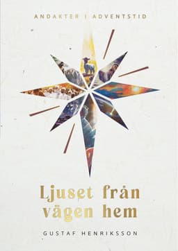 Ljuset från vägen hem : andakter i adventstid
