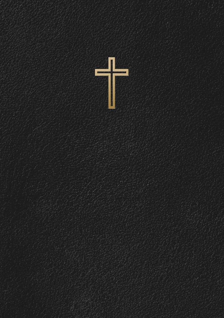 Svenska Folkbibeln 2015 (slimline, svart läder)