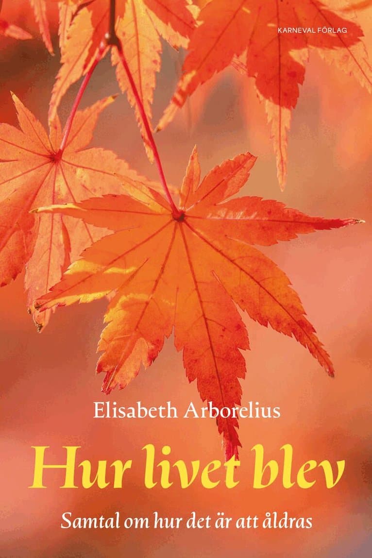 Hur livet blev : samtal om hur det är att åldras