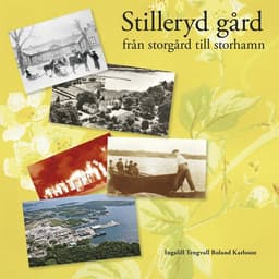 Stilleryd gård : från storgård till storhamn