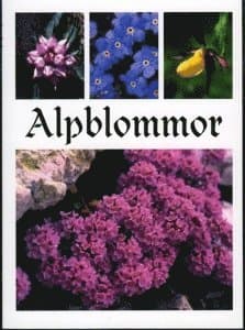 Alpblommor
