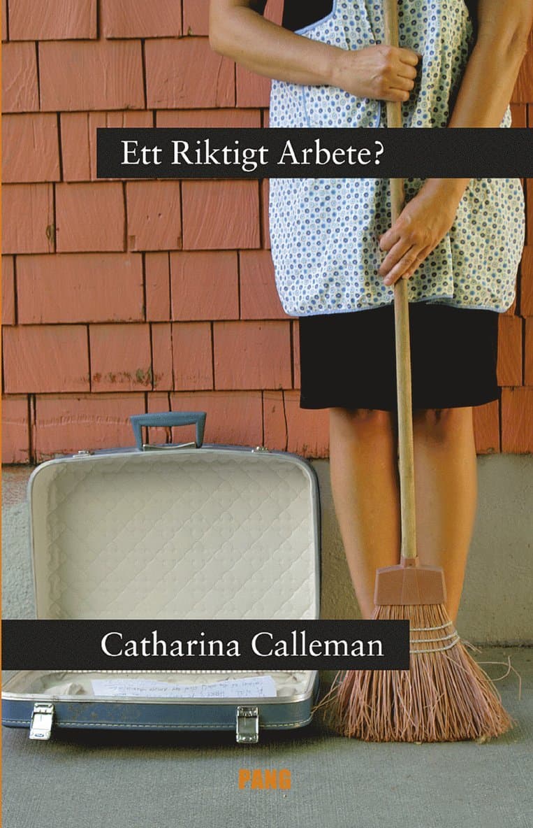 Ett Riktigt Arbete? : om regleringen av hushållstjänster