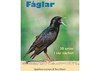 Fåglar : 30 arter i vår närhet