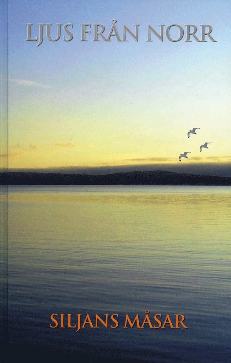 Ljus från norr : budskap från universum genom Siljans måsar