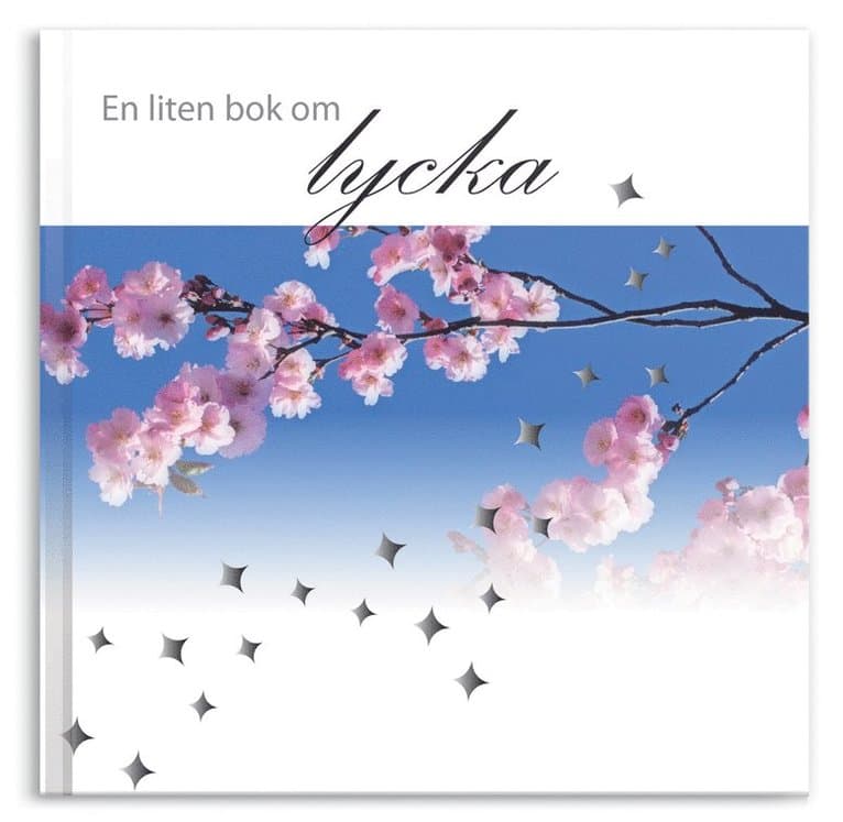 En liten bok om lycka