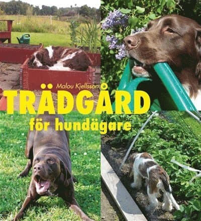 Trädgård för hundägare