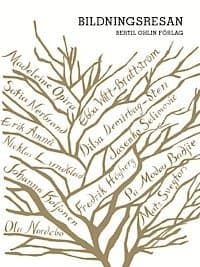 Bildningsresan