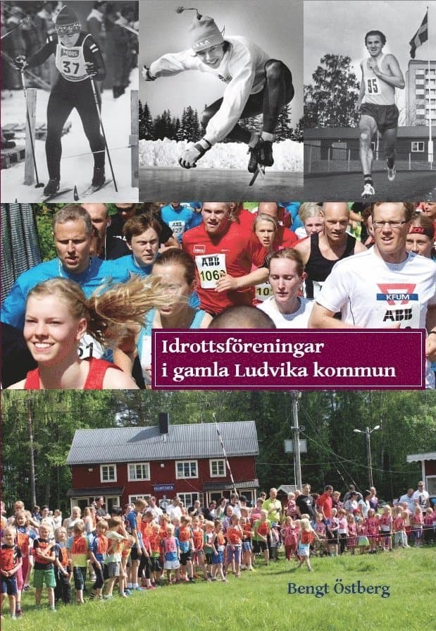 Idrottsföreningar i gamla Ludvika kommun