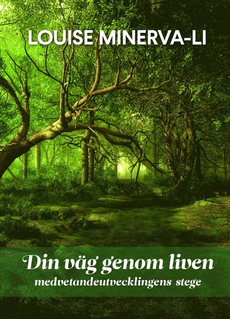 Din väg genom liven - medvetandeutvecklingens stege