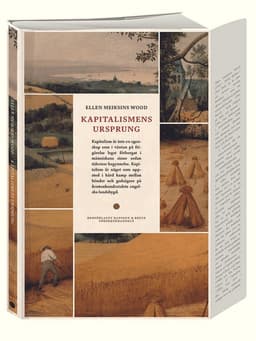 Kapitalismens ursprung