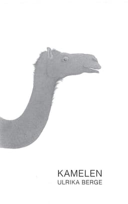 Kamelen
