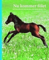Nu kommer fölet : nyttiga råd om hur du bäst tar hand om ditt föl