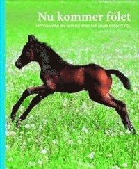 Nu kommer fölet : nyttiga råd om hur du bäst tar hand om ditt föl