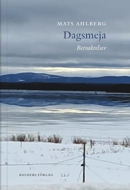 Dagsmeja : betraktelser