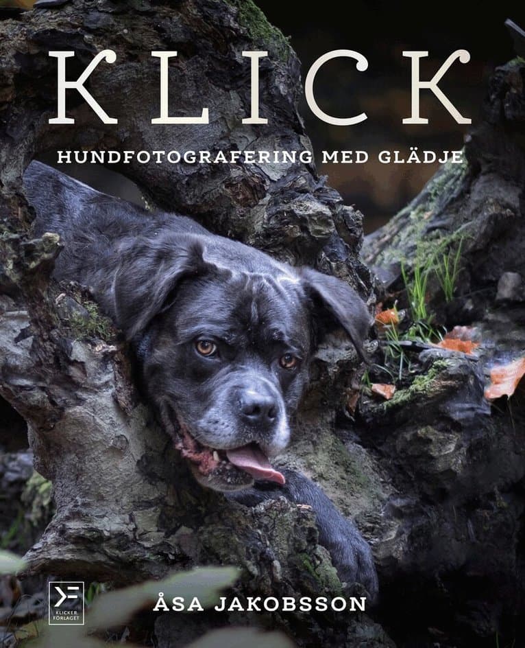 Klick : hundfotografering med glädje