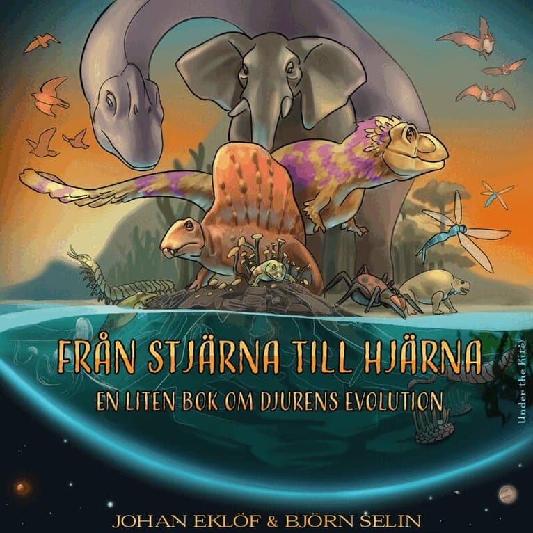 Från stjärna till hjärna : en liten bok om djurens evolution