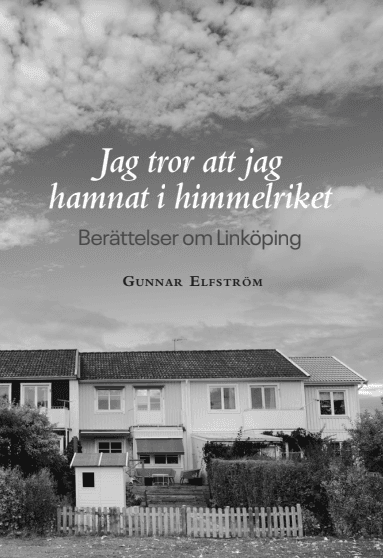 Jag tror att jag hamnat i himmelriket - berättelser om Linköping
