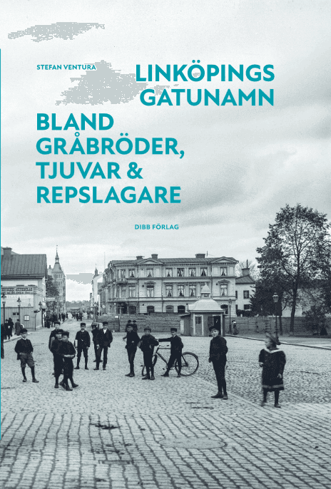 Linköpings gatunamn - Bland gråbröder, tjuvar & repslagare
