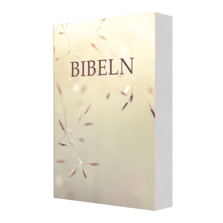 Bibeln SFB 2015, kompakt pocket, Äng