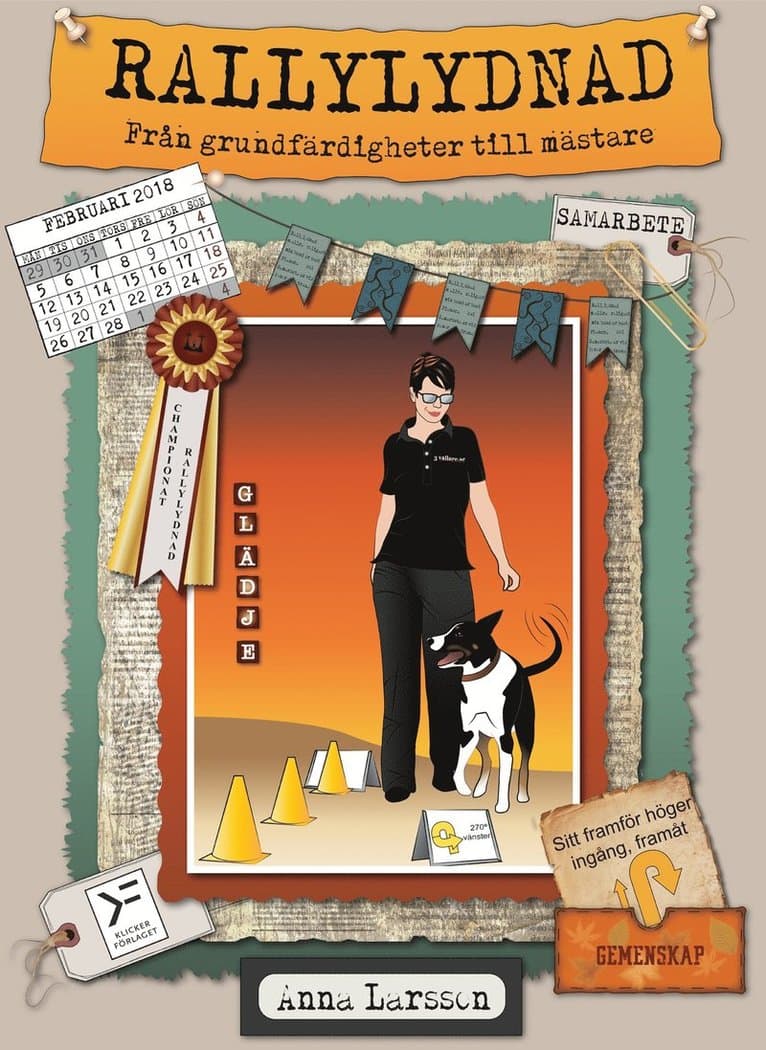 Rallylydnad : från grundfärdigheter till mästare