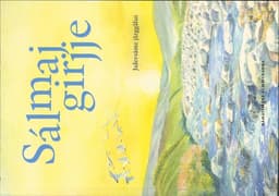 Sálmajgirjje : julevsáme jårggålus