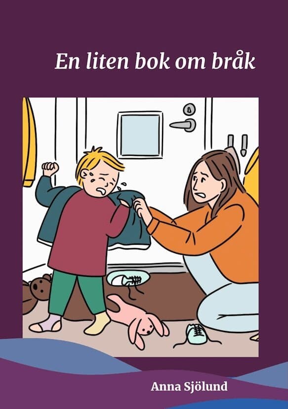 En liten bok om bråk