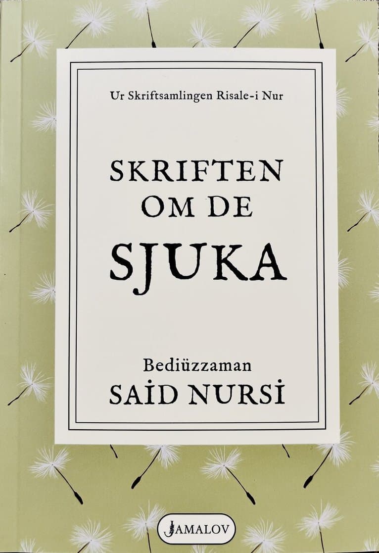 Said Nursi – mest populär bok