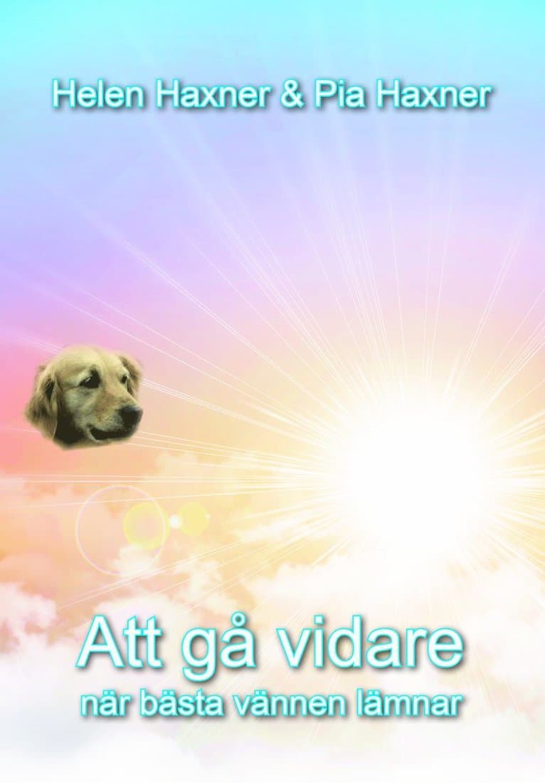 Att gå vidare : när bästa vännen lämnar