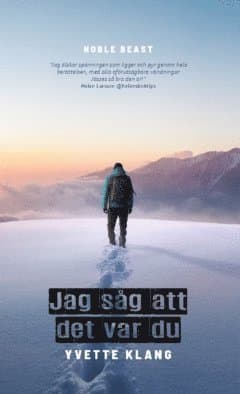 Jag såg att det var du