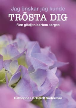 Jag önskar jag kunde trösta dig : finn glädjen bortom sorgen