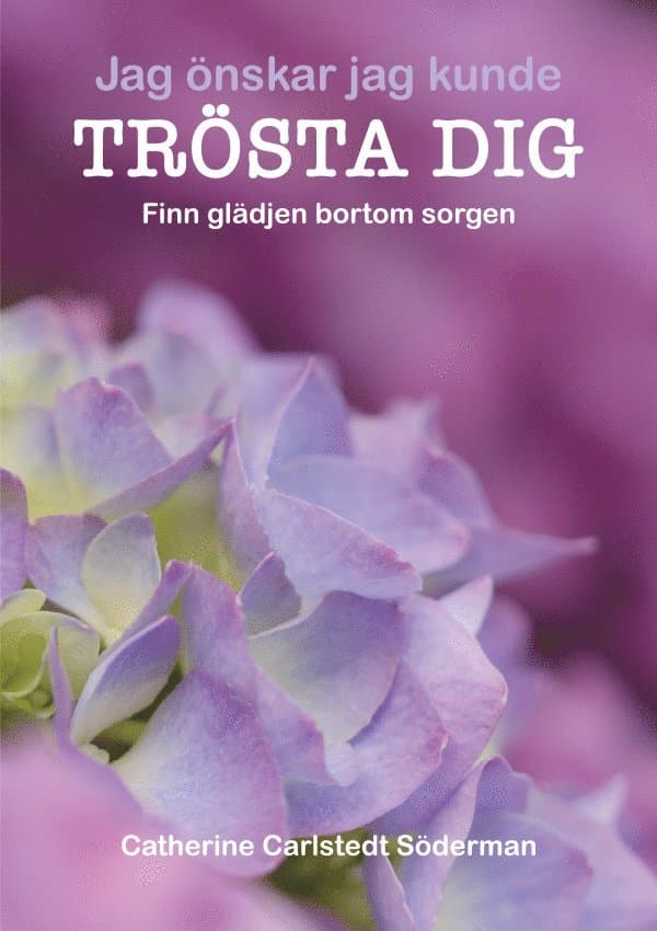 Jag önskar jag kunde trösta dig : finn glädjen bortom sorgen