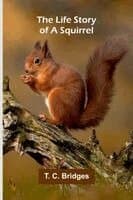 The life story of a squirrel