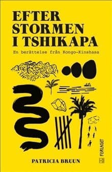 Efter stormen i Tshikapa : en berättelse från Kongo-Kinshasa