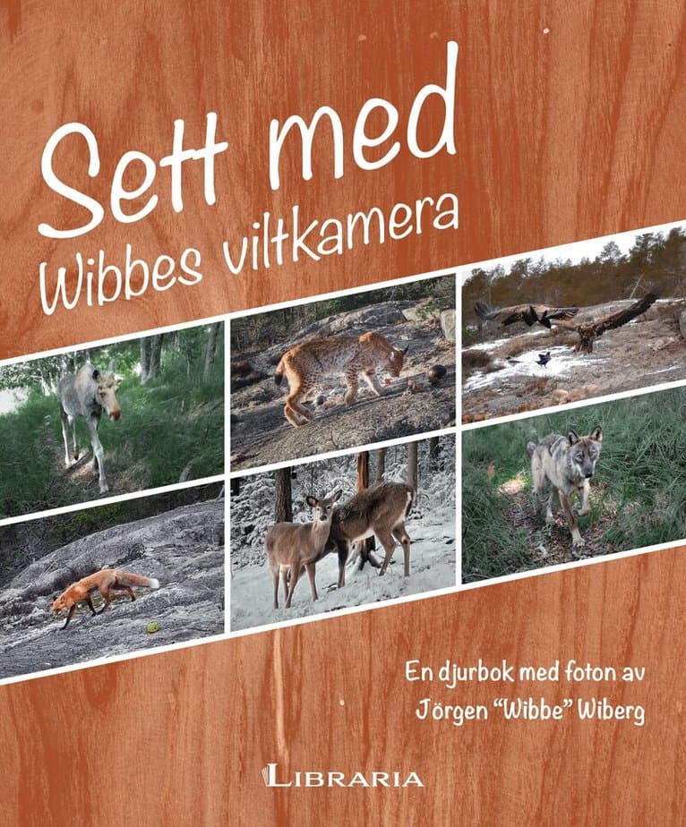 Sett med Wibbes viltkamera