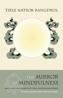 Mirror of Mindfulness