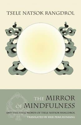 Mirror of Mindfulness