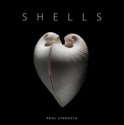 Shells